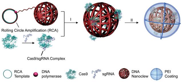 Theranostics Image