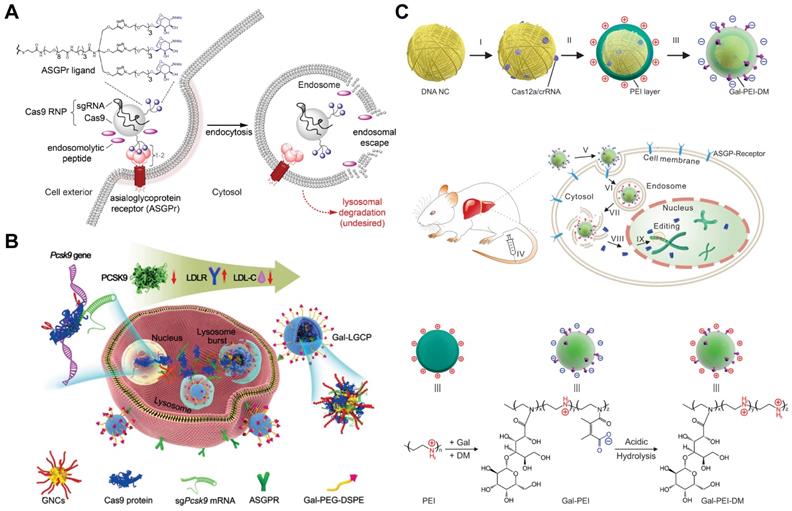 Theranostics Image