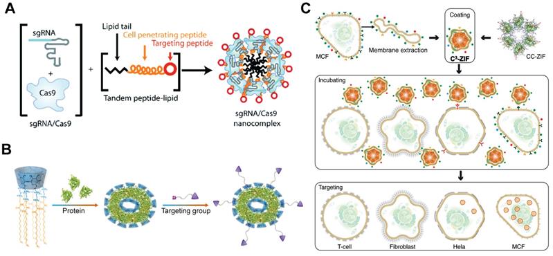 Theranostics Image