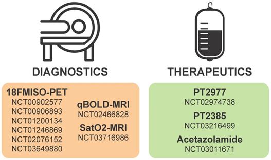 Theranostics Image