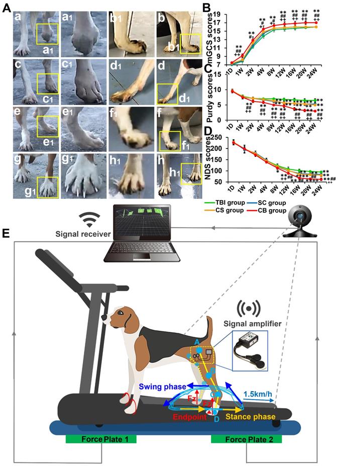 Theranostics Image