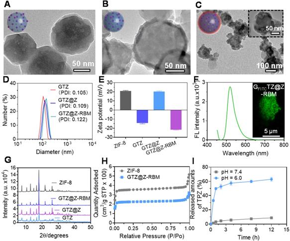 Theranostics Image