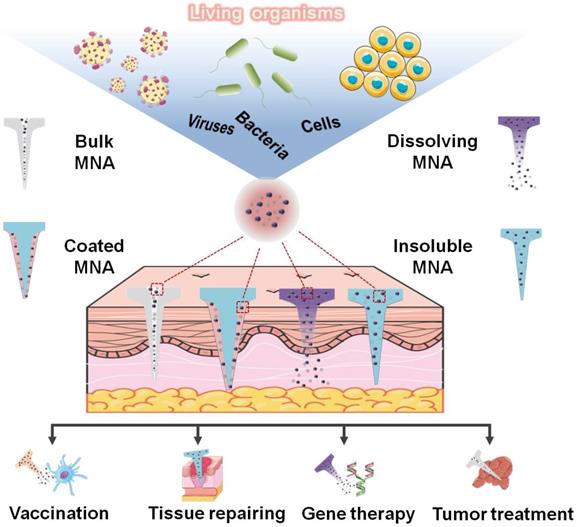 Theranostics Image