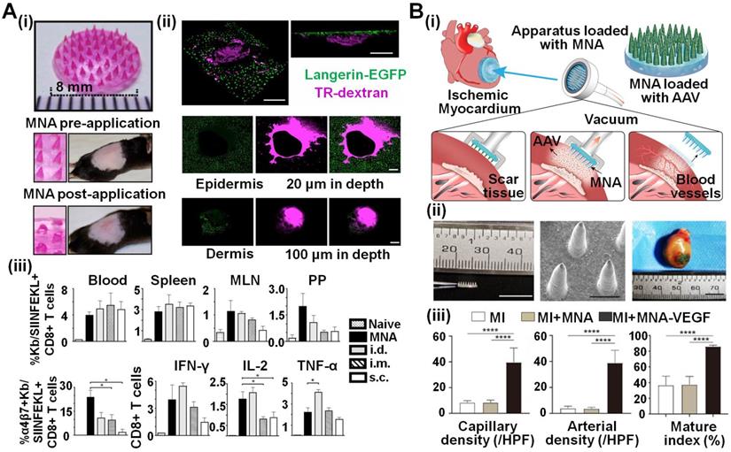 Theranostics Image