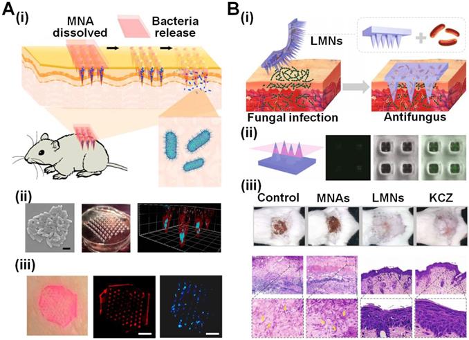 Theranostics Image