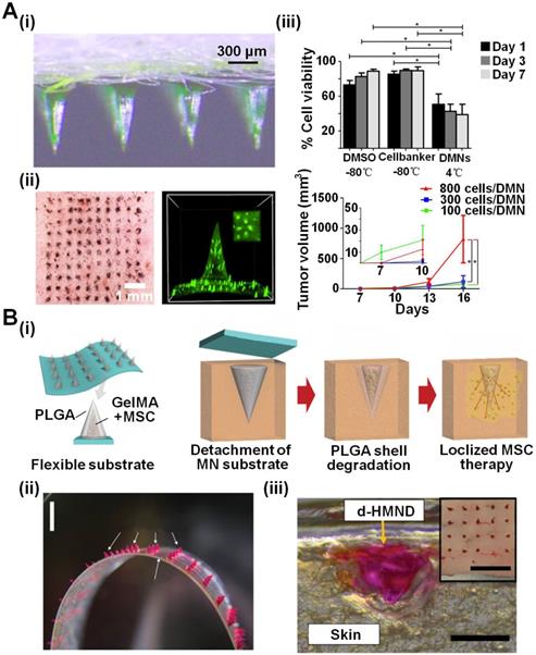 Theranostics Image