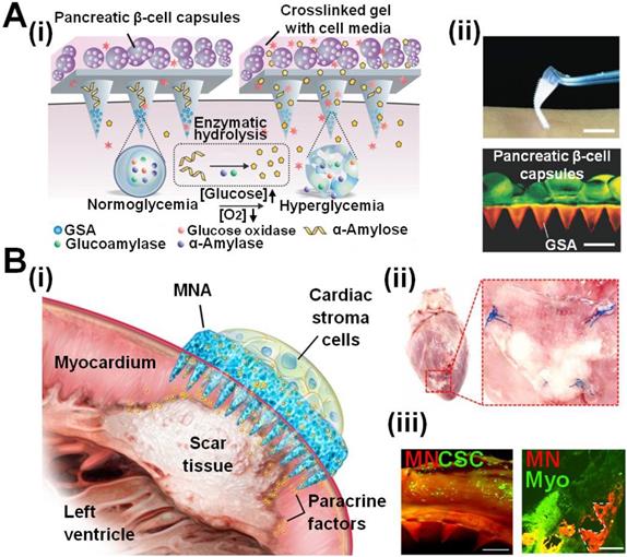 Theranostics Image