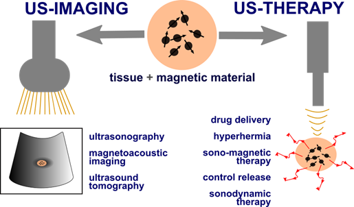 Theranostics Image