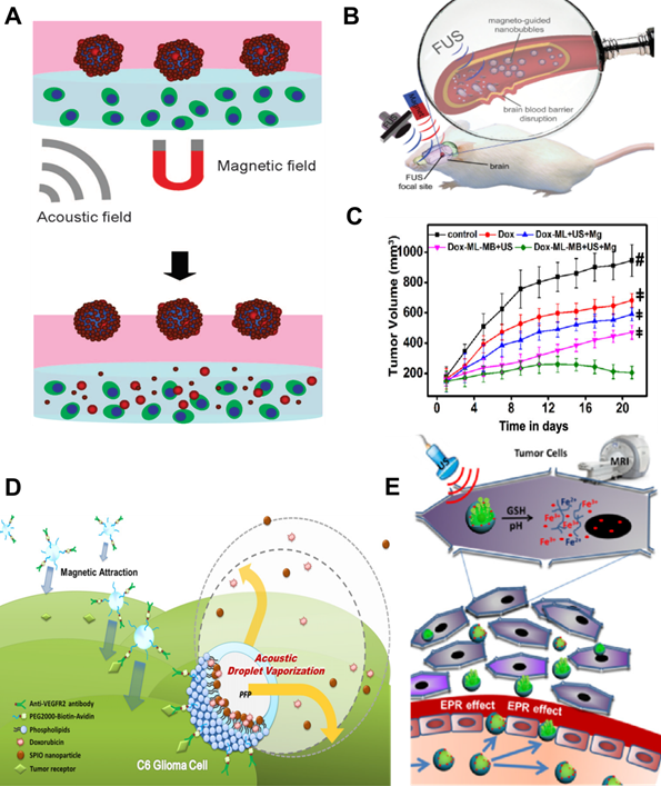 Theranostics Image