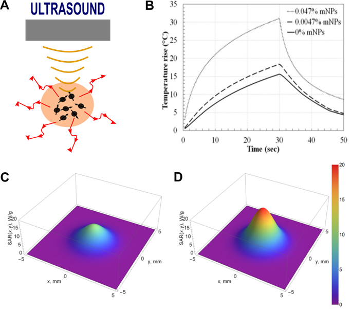 Theranostics Image