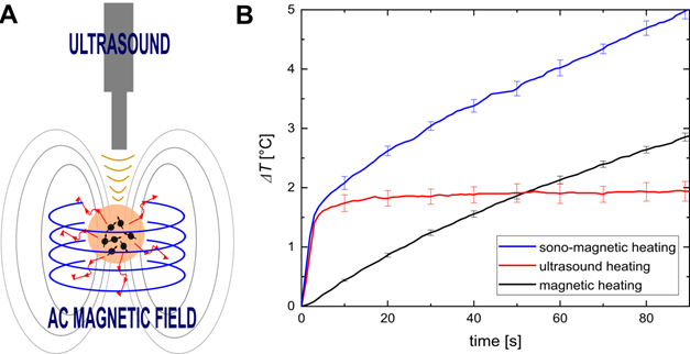 Theranostics Image