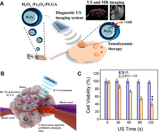 Theranostics Image