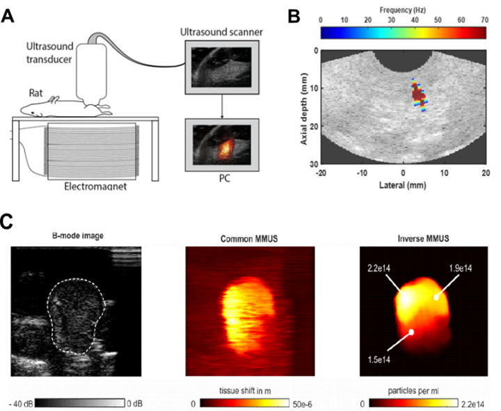 Theranostics Image