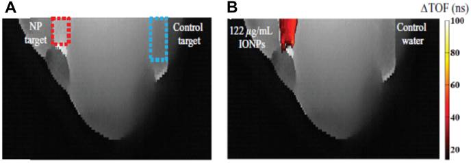 Theranostics Image