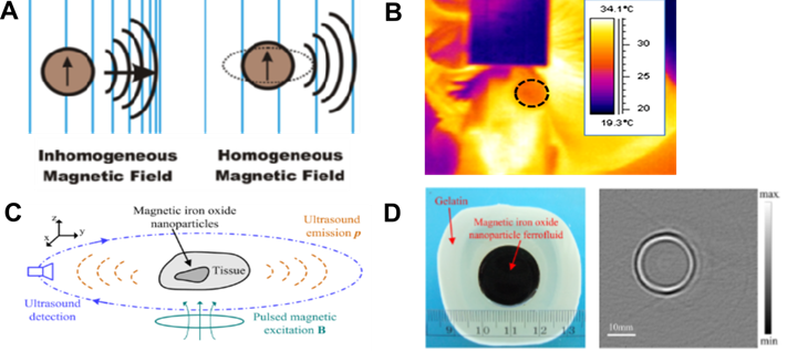 Theranostics Image