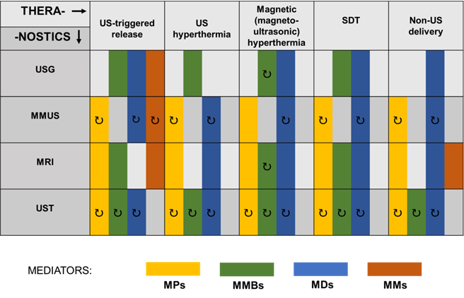 Theranostics Image