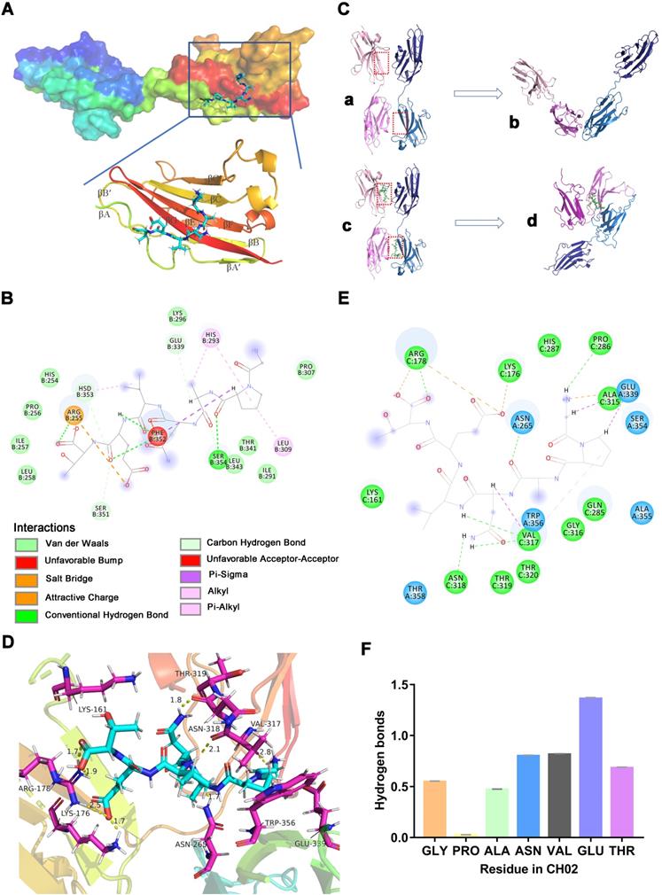 Theranostics Image