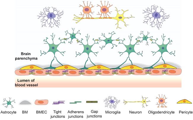 Theranostics Image