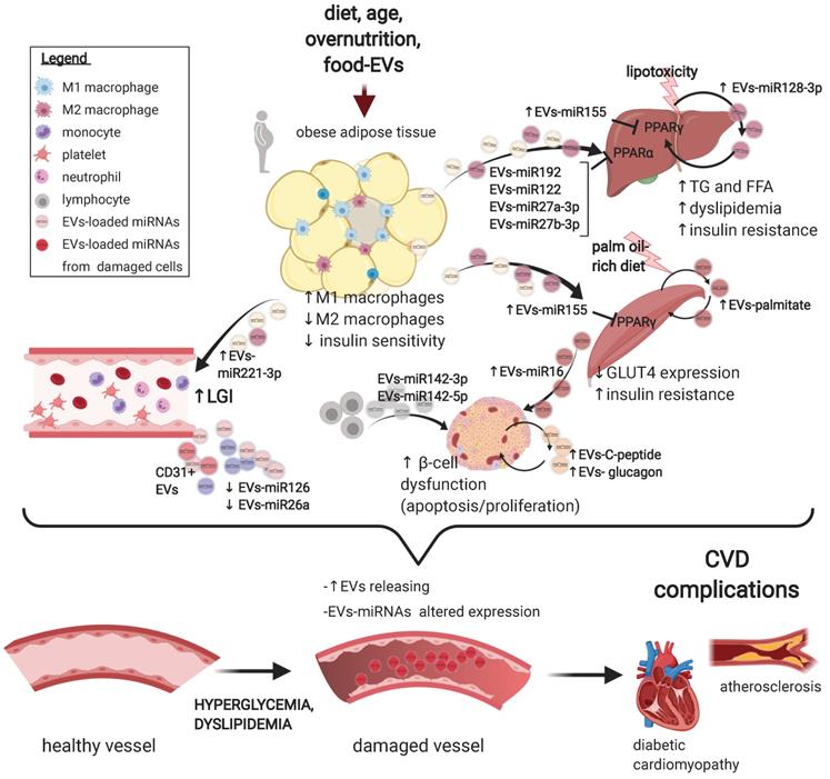 Theranostics Image