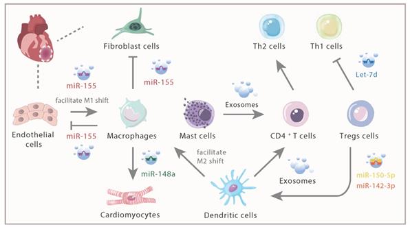 Theranostics Image