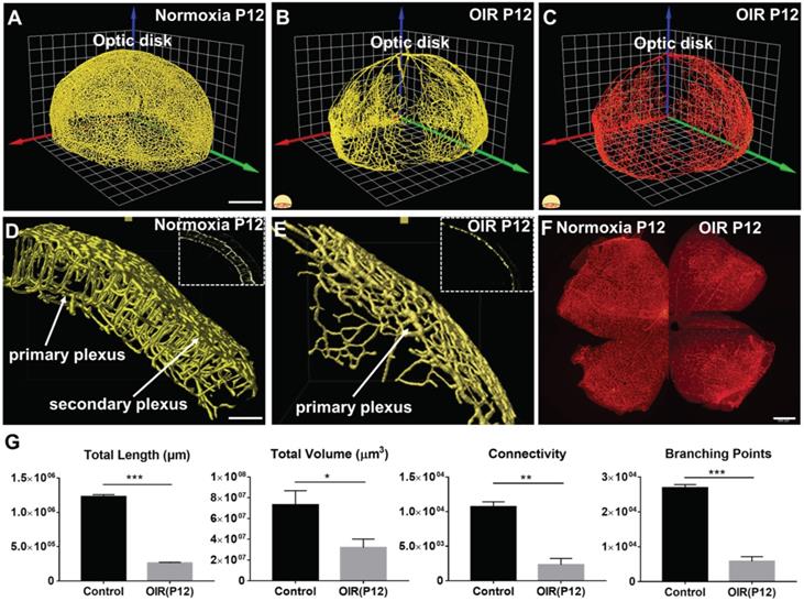 Theranostics Image