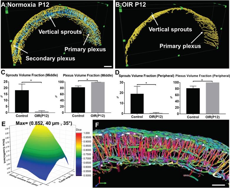 Theranostics Image