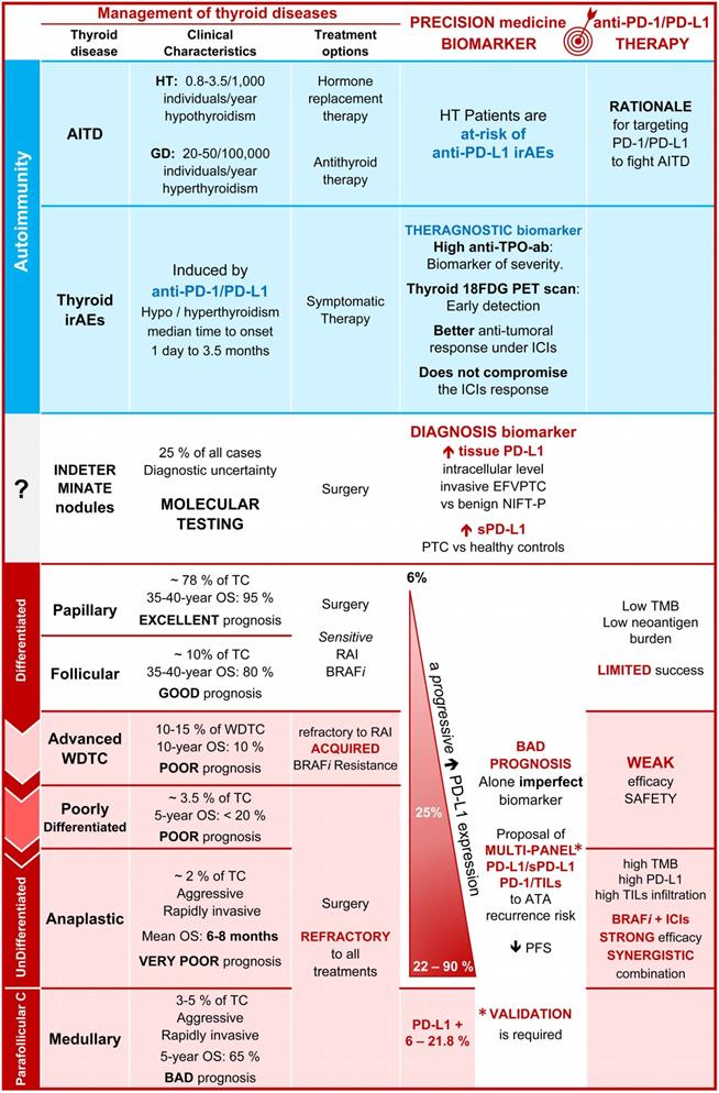 Theranostics Image