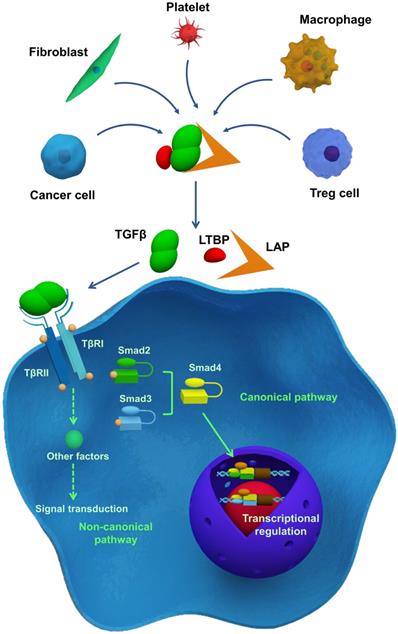 Theranostics Image