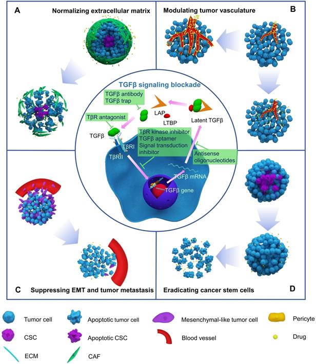 Theranostics Image