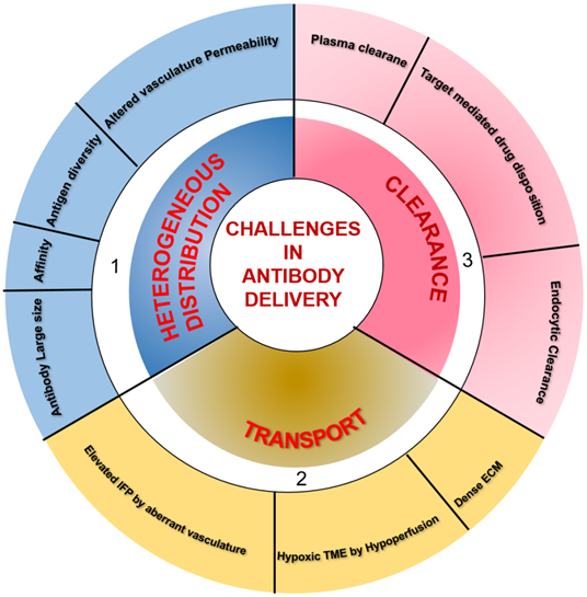 Theranostics Image