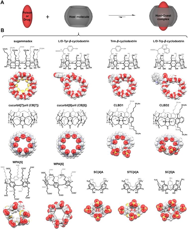 Theranostics Image