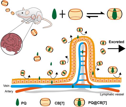 Theranostics Image