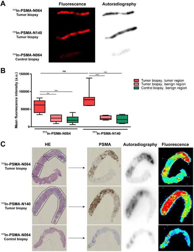 Theranostics Image