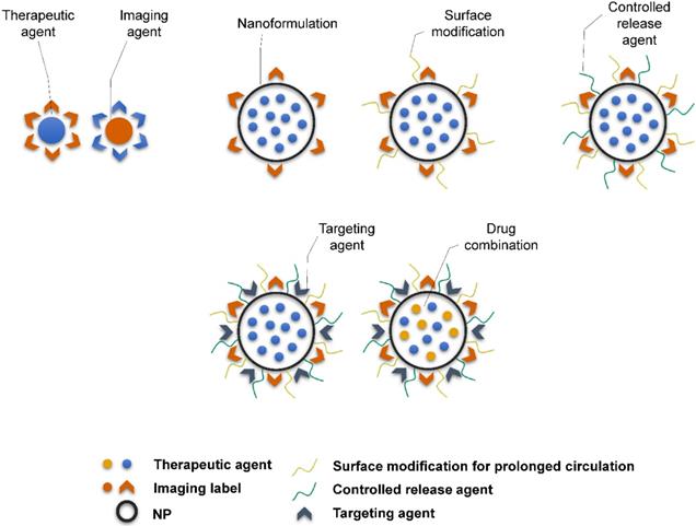 Theranostics Image