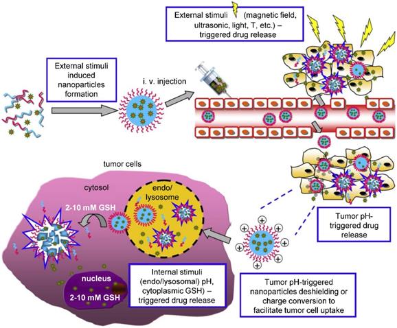 Theranostics Image