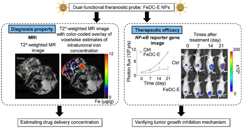 Theranostics Image