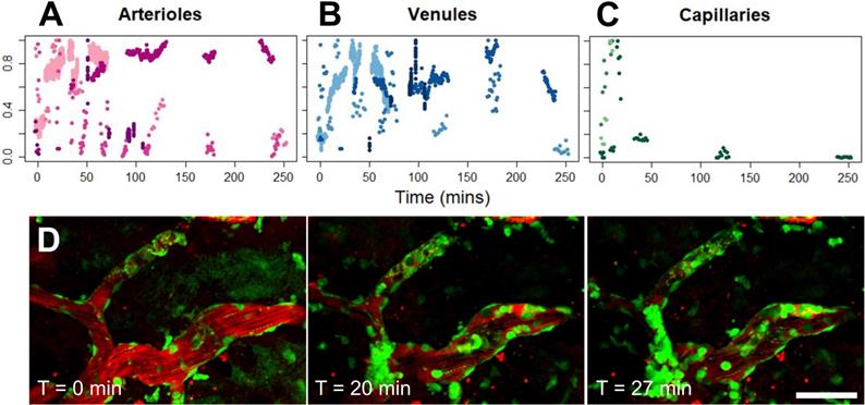 Theranostics Image