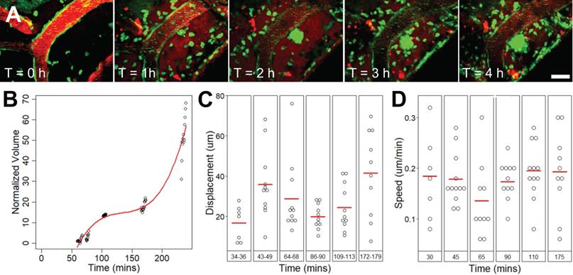 Theranostics Image