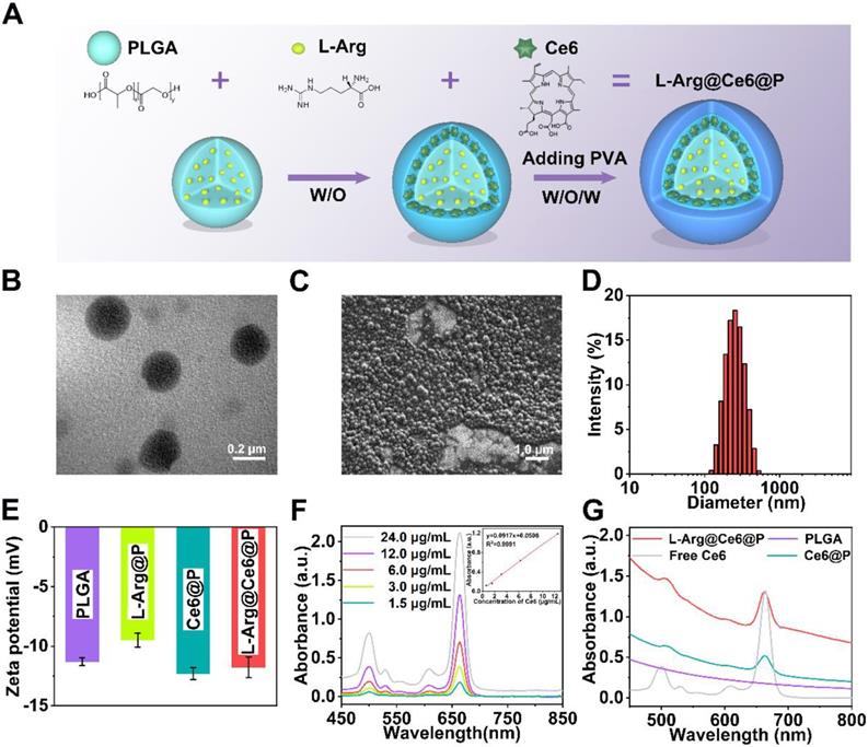 Theranostics Image