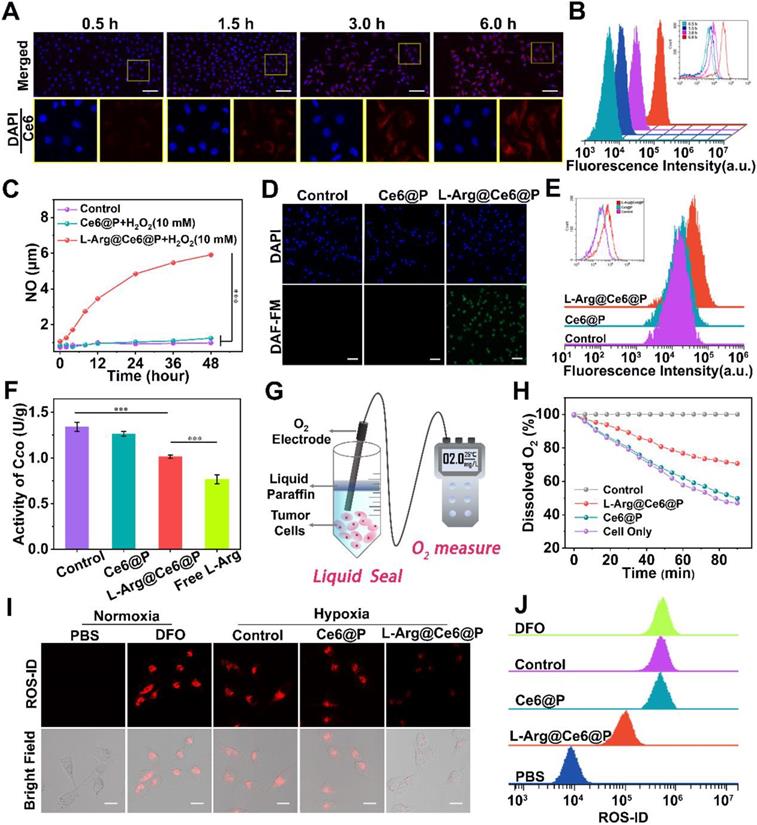 Theranostics Image