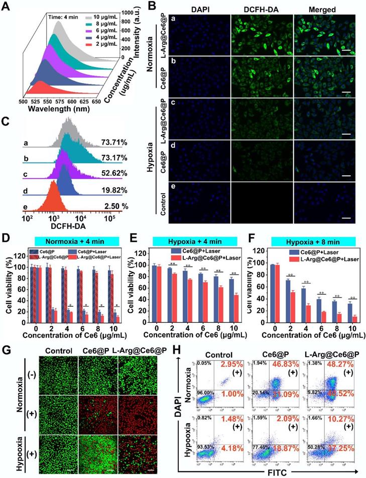 Theranostics Image