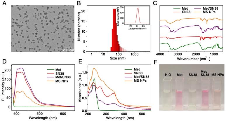 Theranostics Image