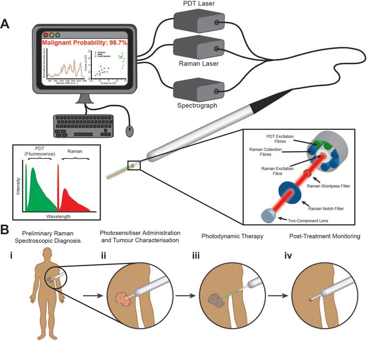 Theranostics Image