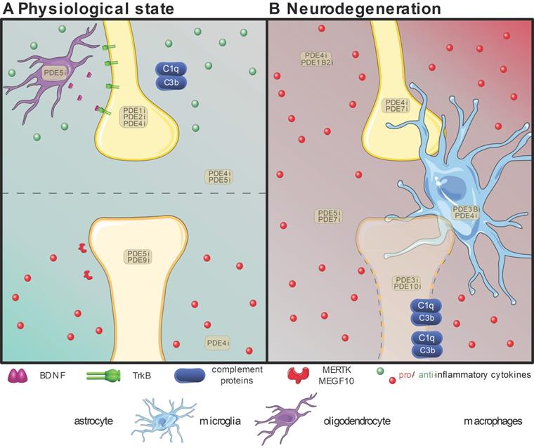 Theranostics Image