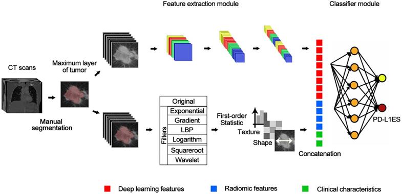 Theranostics Image