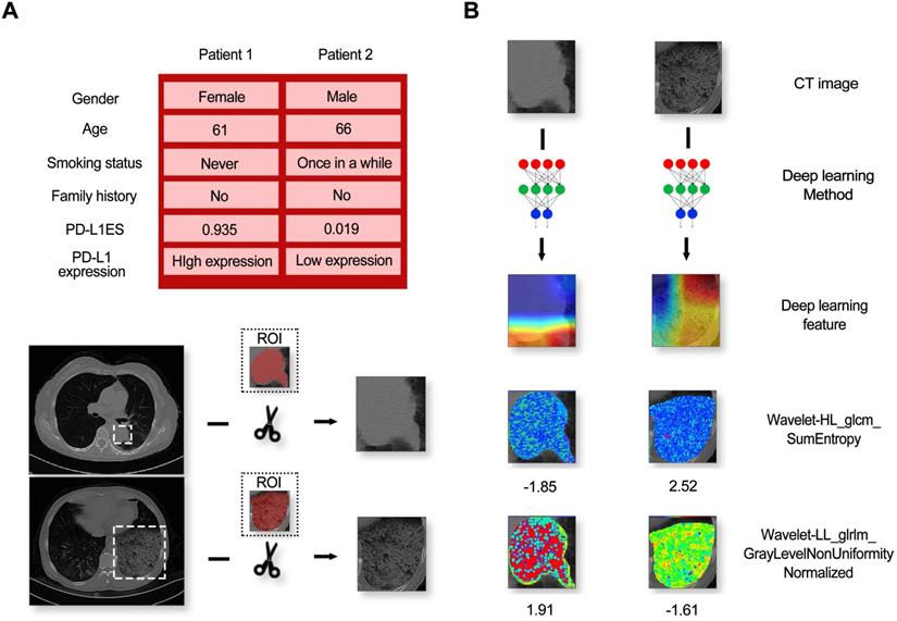 Theranostics Image