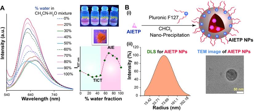 Theranostics Image