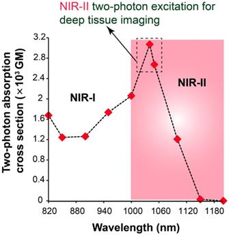 Theranostics Image