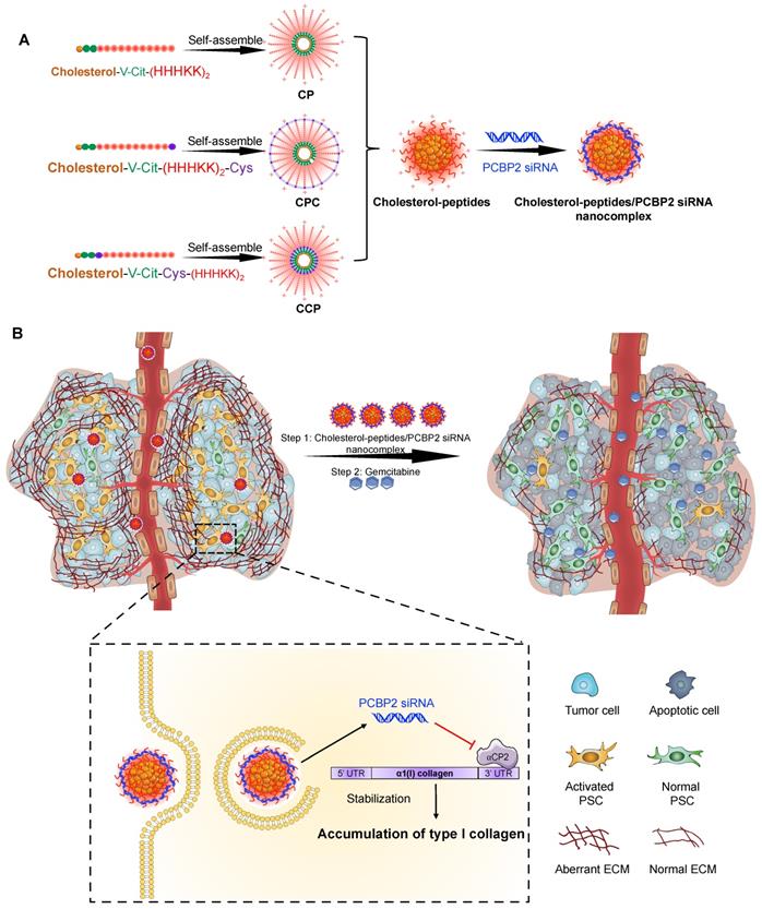 Theranostics Image