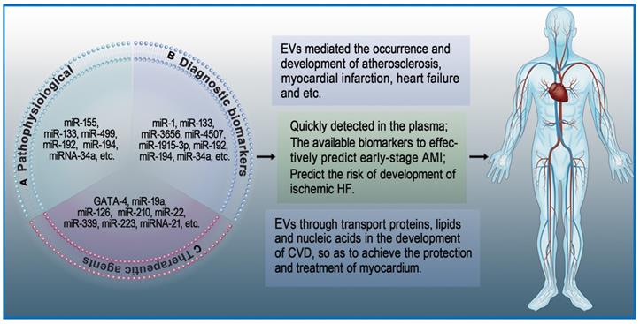 Theranostics Image